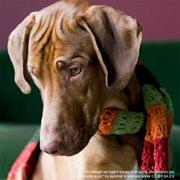 Online Global Death Cafe GMT