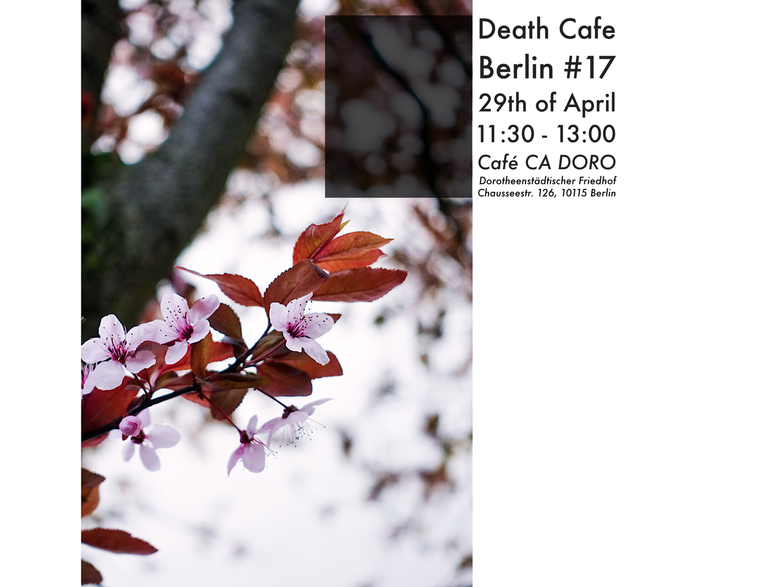 Death Cafe Berlin #17