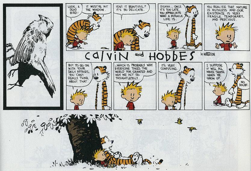 Calvin and Hobbes on life and death