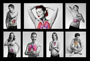 Organ donation art